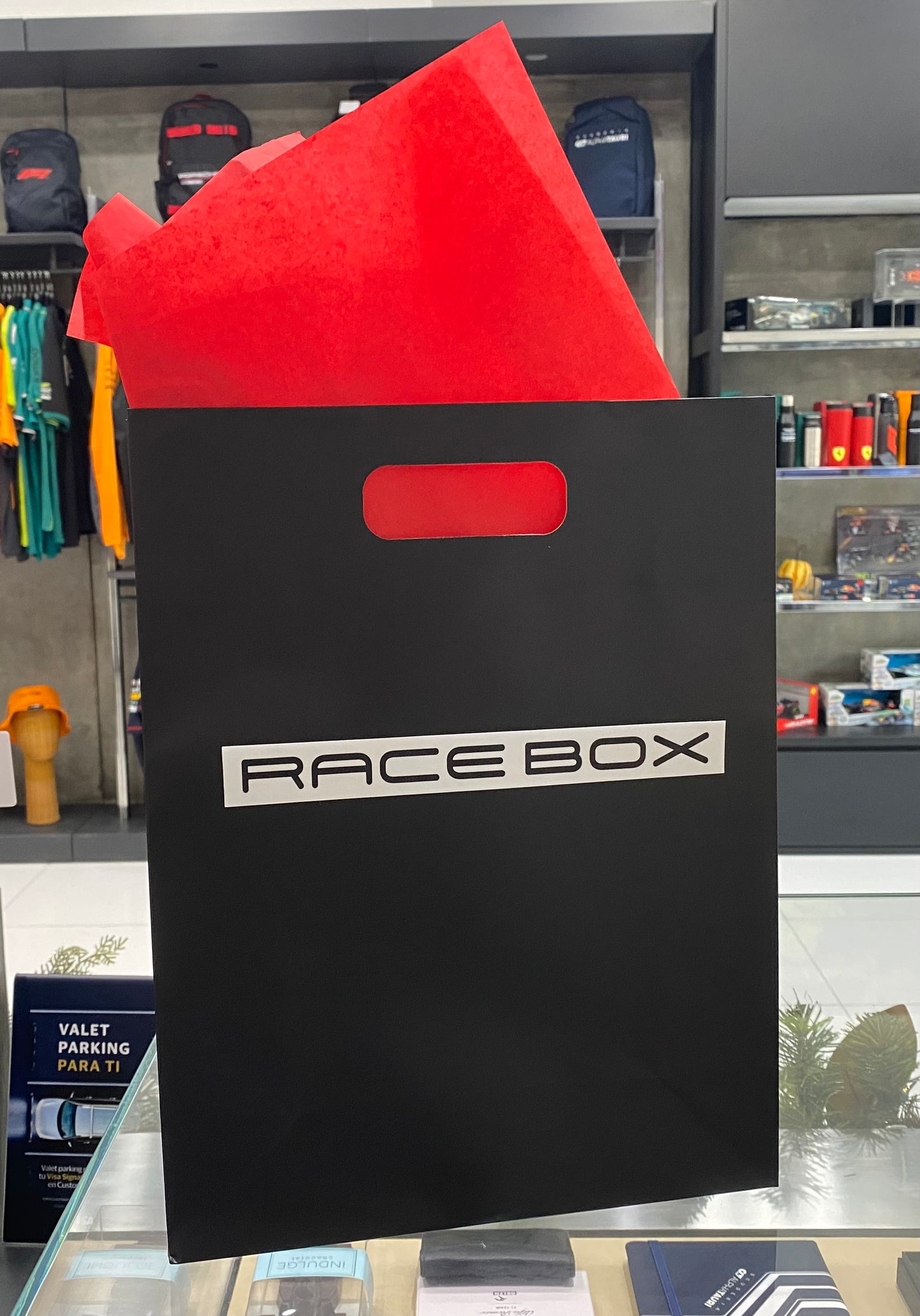 Gift Bag