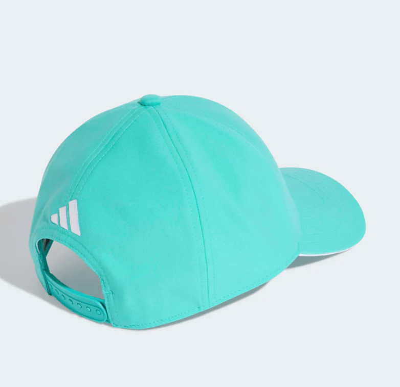 Mercedes AMG Petronas 2026 Team Hat